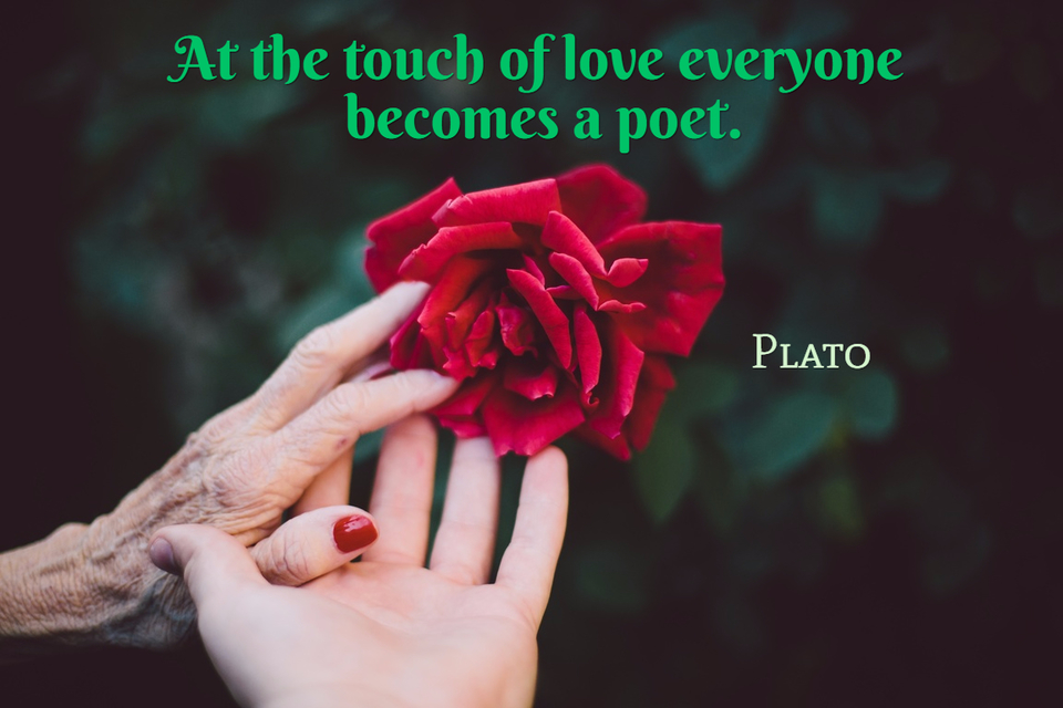 at the touch of love everyone becomes a poet...