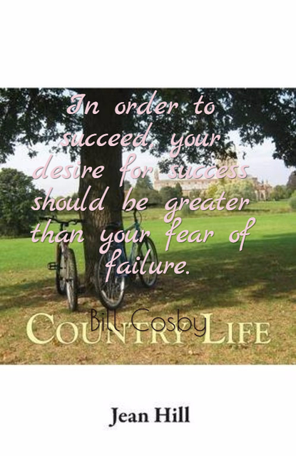 in order to succeed your desire for success should be greater than your fear of failure...