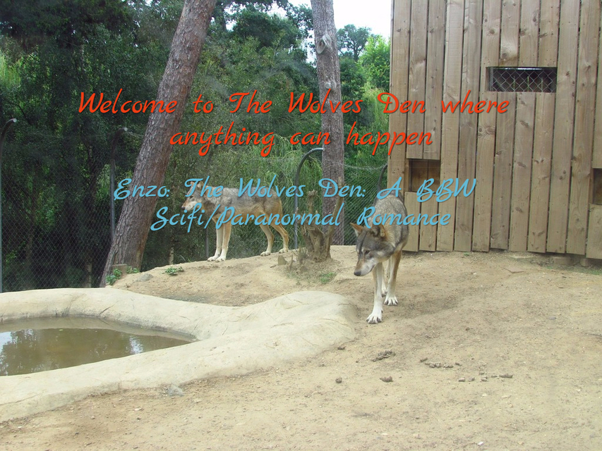 welcome to the wolves den where anything can happen...