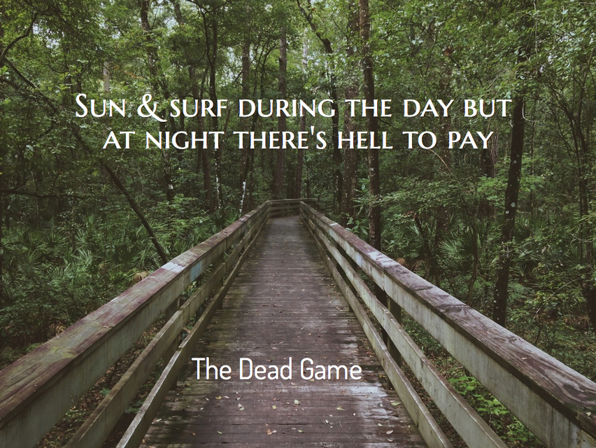 sun surf during the day but at night theres hell to pay...