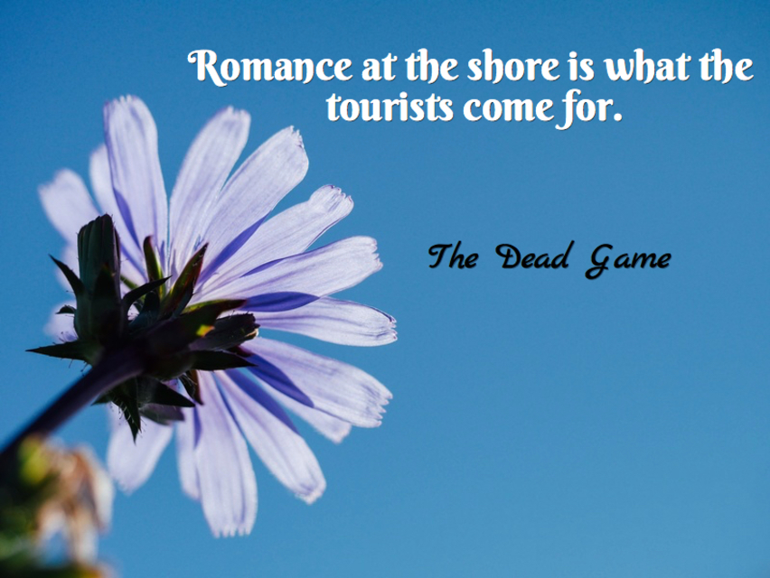 romance at the shore is what the tourists come for...