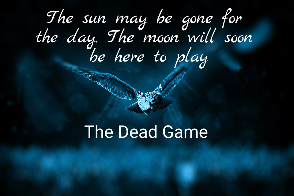 the sun may be gone for the day the moon will soon be here to play...