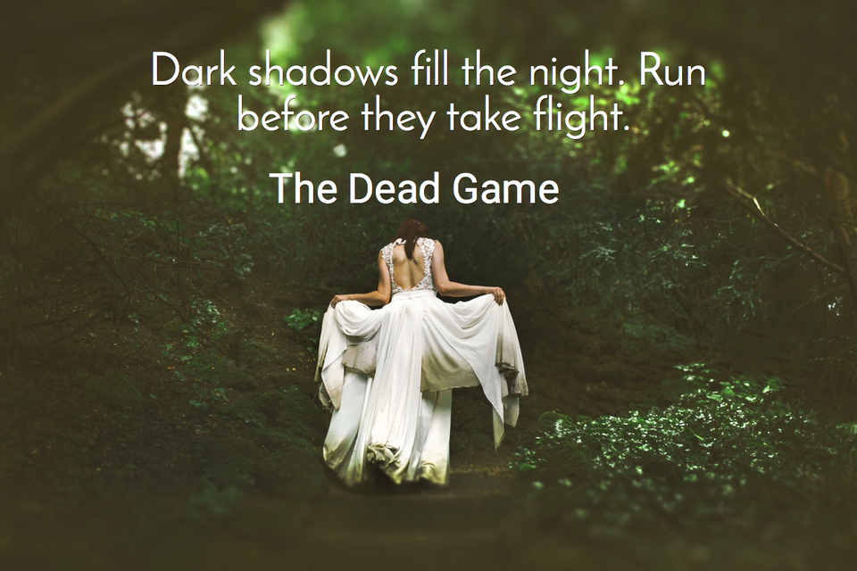 dark shadows fill the night run before they take flight...