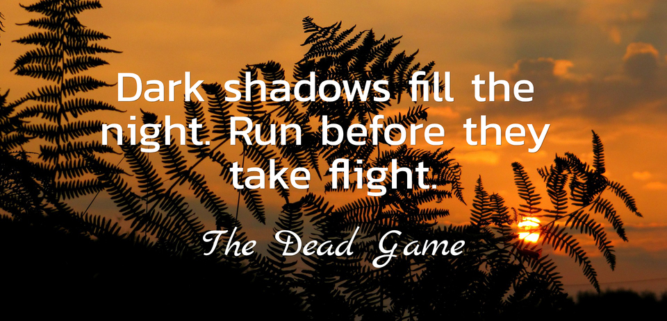 dark shadows fill the night run before they take flight...