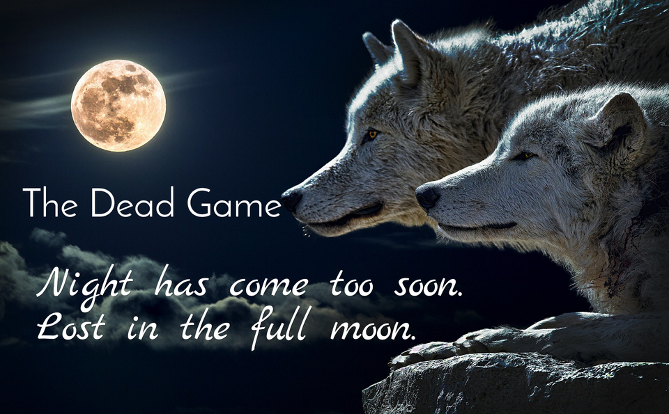 night has come too soon lost in the full moon...