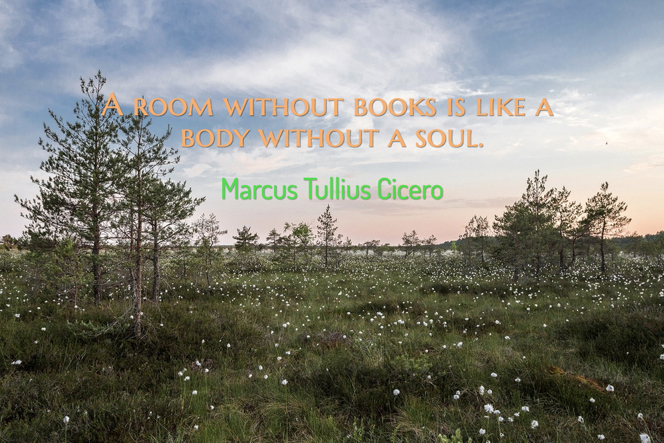 a room without books is like a body without a soul...