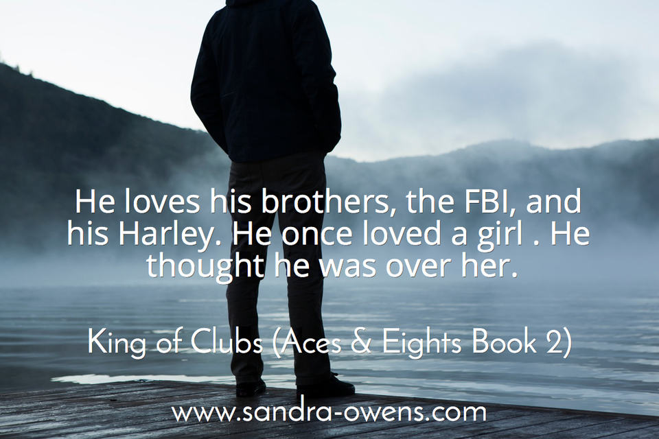 he loves his brothers the fbi and his harley he once loved a girl he thought he was...