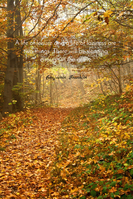a life of leisure and a life of laziness are two things there will be sleeping enough in...