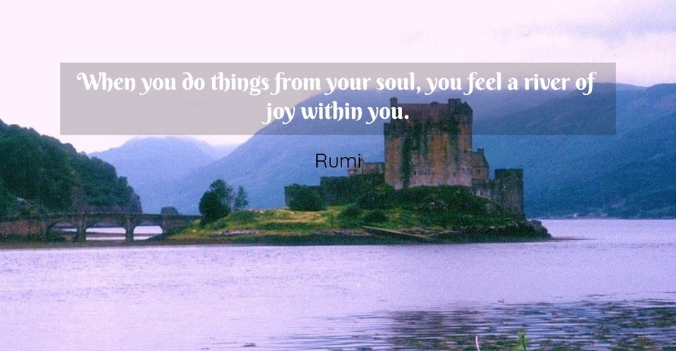 when you do things from your soul you feel a river of joy within you...