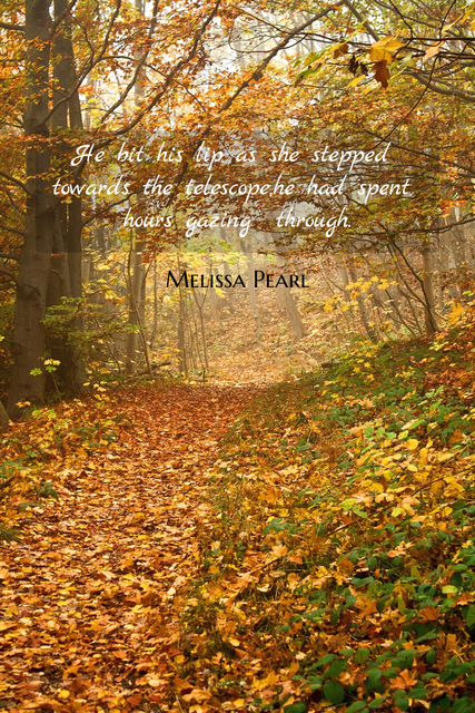 he bit his lip as she stepped towards the telescopehe had spent hours gazing through...
