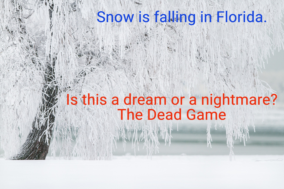 snow is falling hard in florida...