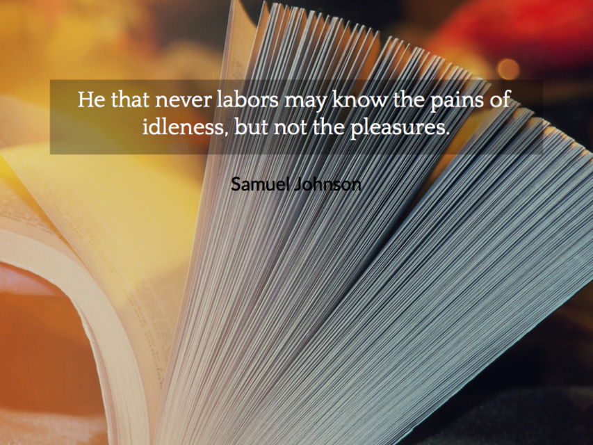 he that never labors may know the pains of idleness but not the pleasures...