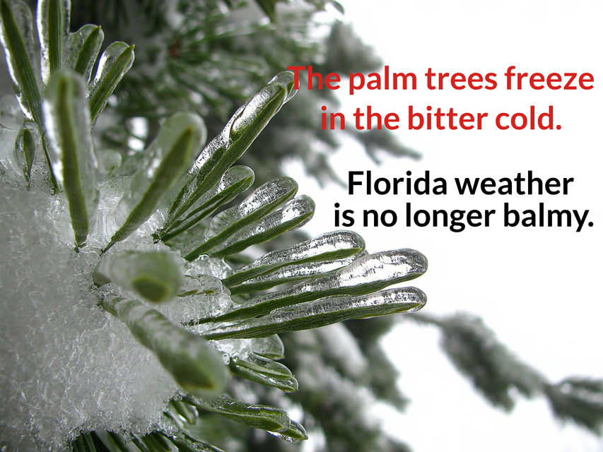 a visit to florida can be your last...