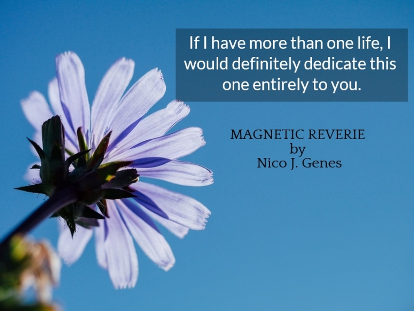 if i have more than one life i would definitely dedicate this one entirely to you...