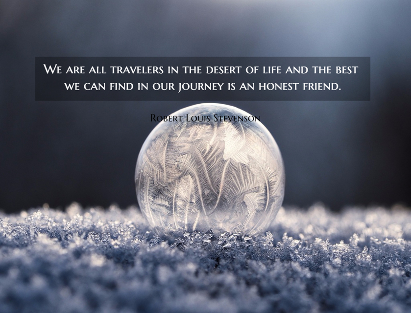 we are all travelers in the desert of life and the best we can find in our journey is an...