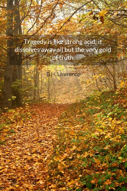 tragedy is like strong acid it dissolves away all but the very gold of truth...