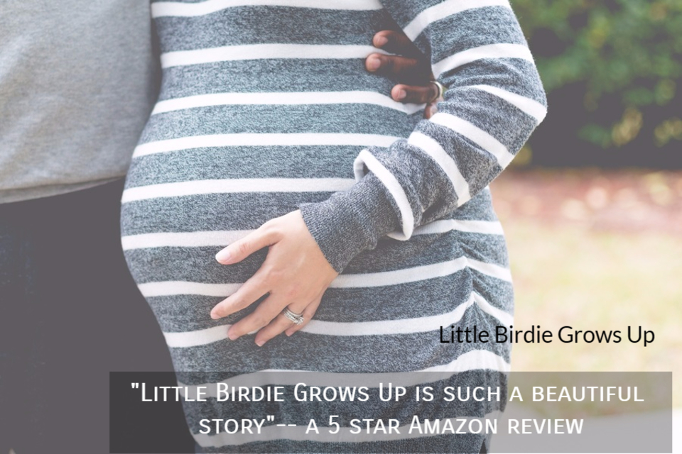 little birdie grows up is such a beautiful story a 5 star amazon review...