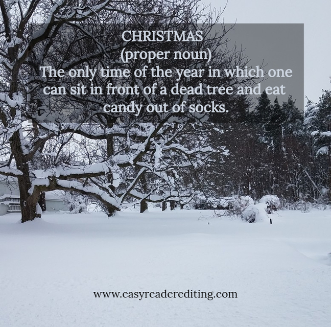 christmas proper noun the only time of the year in which one can sit in front of a...