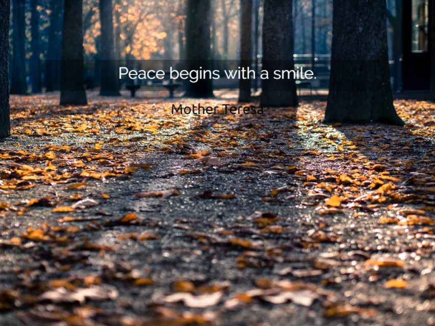 peace begins with a smile...