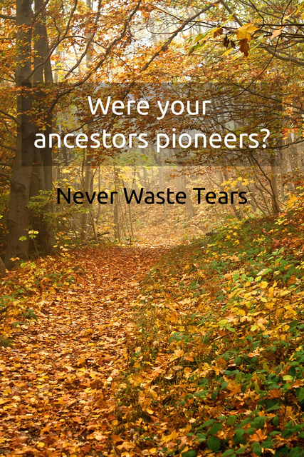 were your ancestors pioneers...