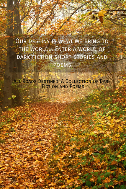our destiny is what we bring to the world enter a world of dark fiction short stories...