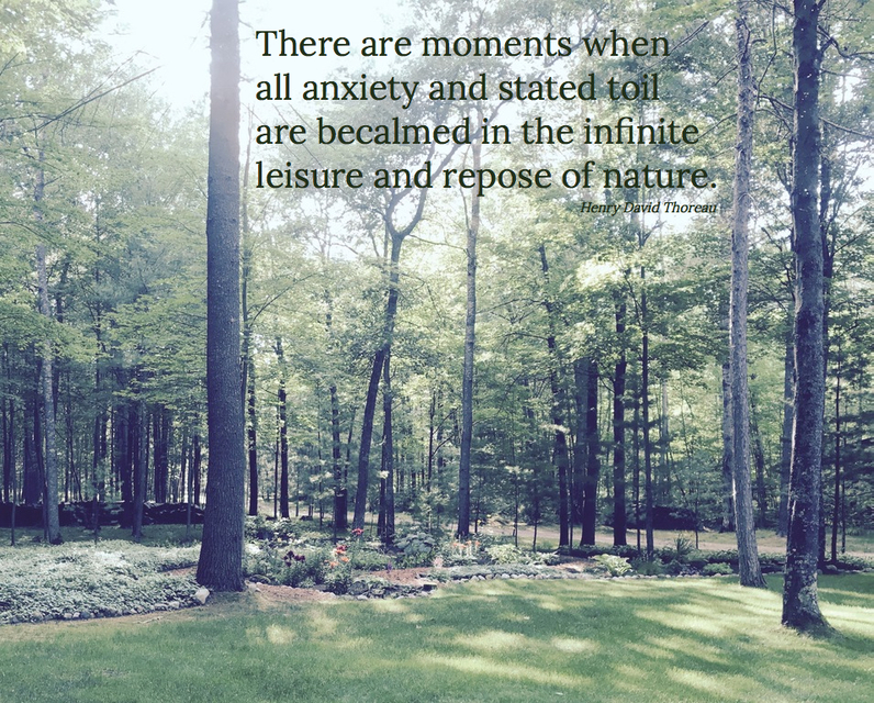 there are moments when all anxiety and stated toil are becalmed in the infinite leisure...