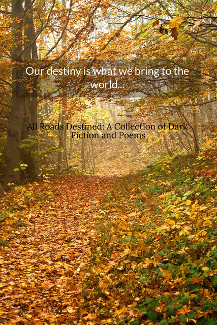our destiny is what we bring to the world enter a world of dark fiction short stories...