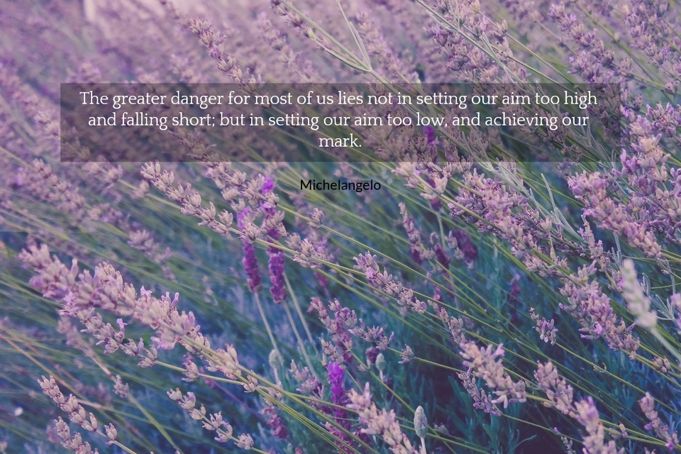 the greater danger for most of us lies not in setting our aim too high and falling short...