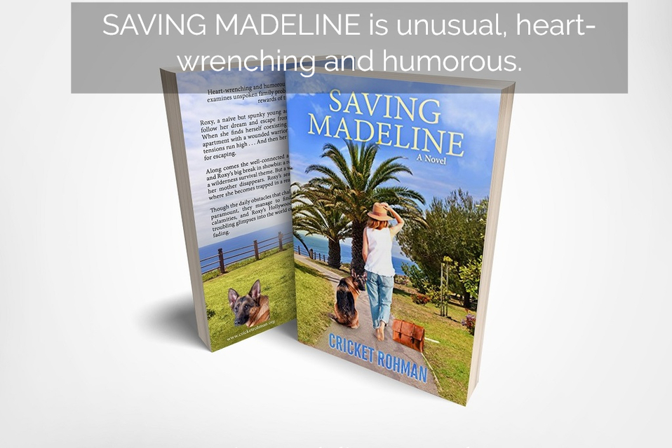 saving madeline is unusual heart wrenching and humorous...