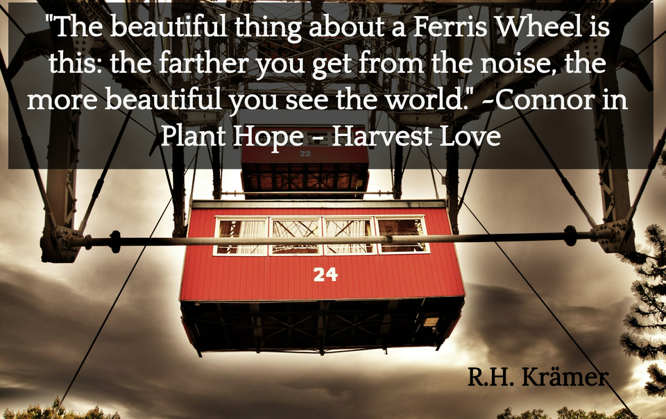 the beautiful thing about a ferris wheel is this the farther you get from the noise...
