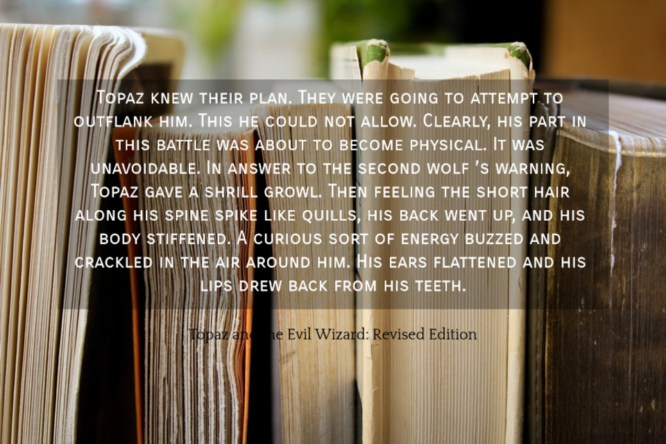 topaz knew their plan they were going to attempt to outflank him this he could not...