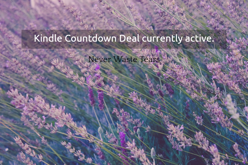 kindle countdown deal currently active...