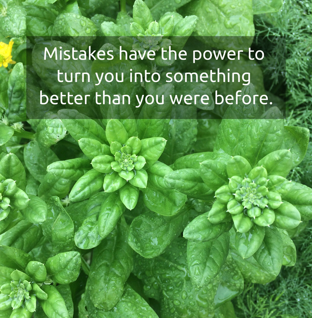 mistakes have the power to turn you into something better than you were before...
