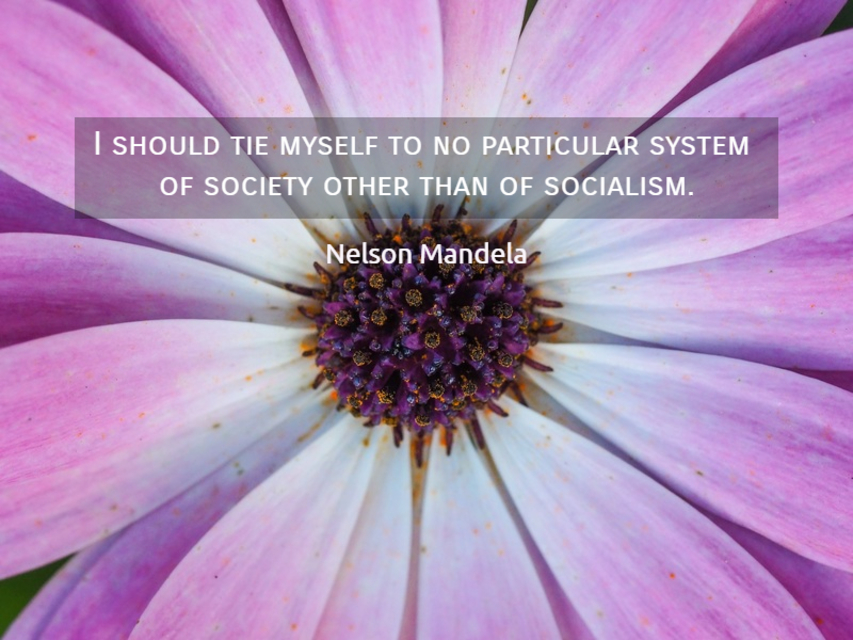 i should tie myself to no particular system of society other than of socialism...