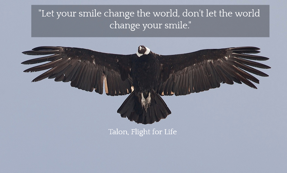 let your smile change the world dont let the world change your smile...