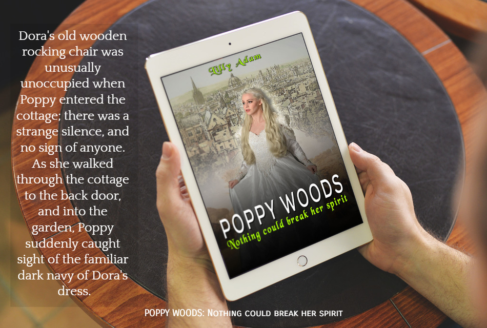 doras old wooden rocking chair was unusually unoccupied when poppy entered the cottage...
