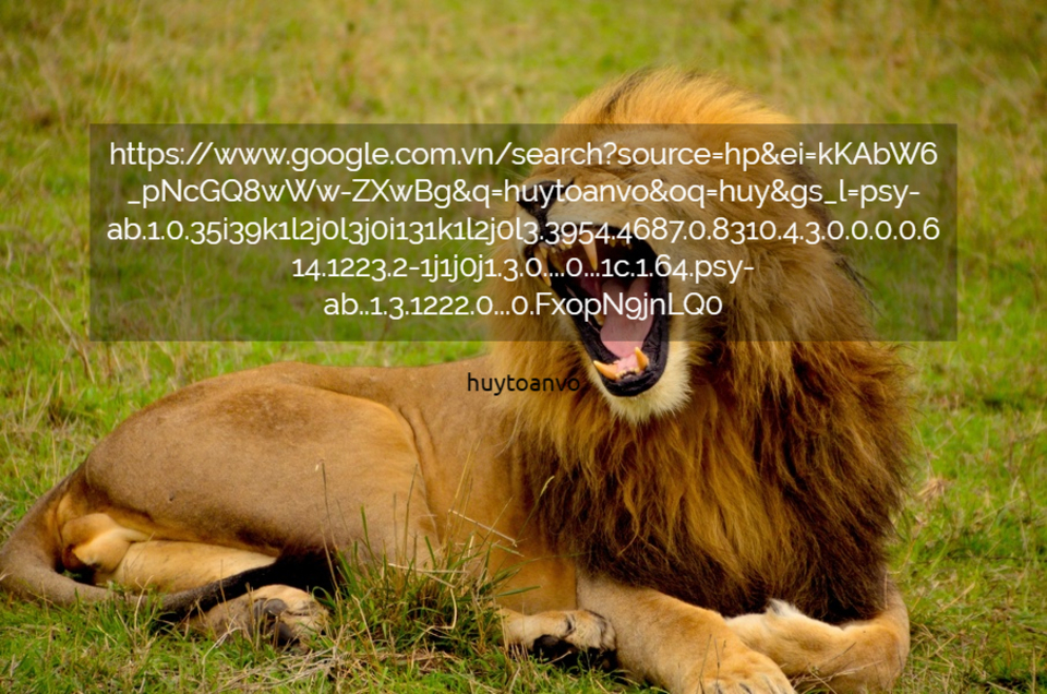 httpswww google com vnsearchsourcehpeikkabw6pncgq8www...
