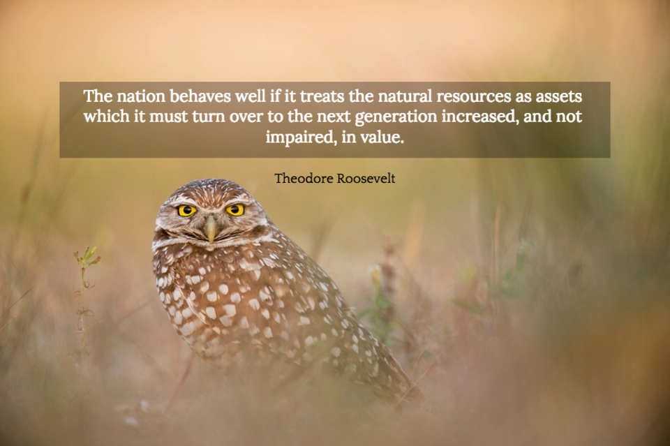 the nation behaves well if it treats the natural resources as assets which it must turn...