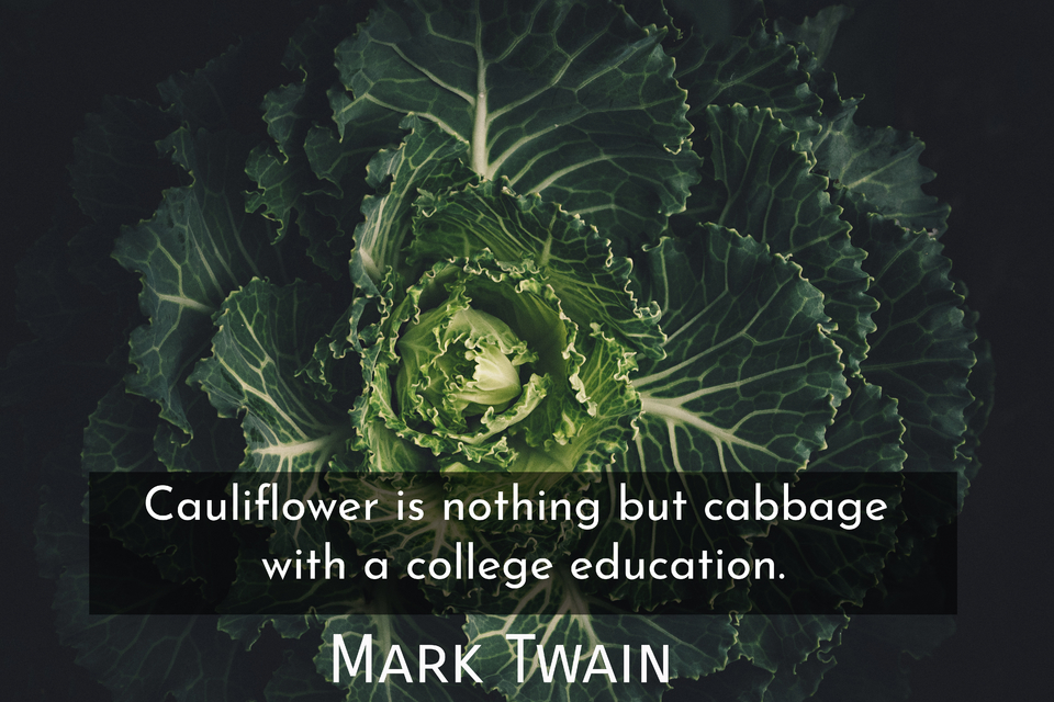 Cauliflower is nothing but cabbage with a... Quote