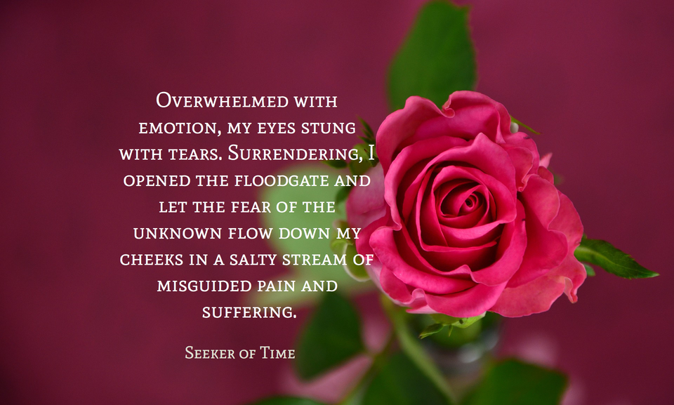 overwhelmed with emotion my eyes stung with tears surrendering i opened the floodgate...