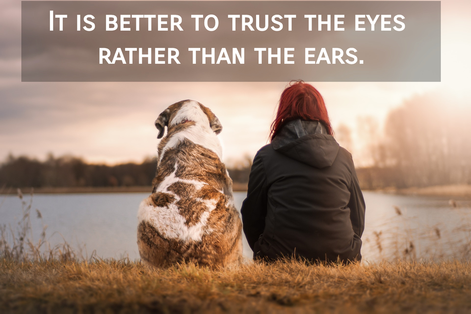 it is better to trust the eyes rather than the ears...