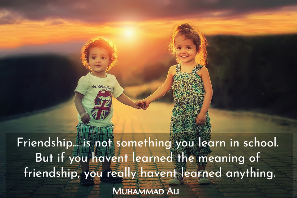 Friendship... is not something you learn in... - Quote