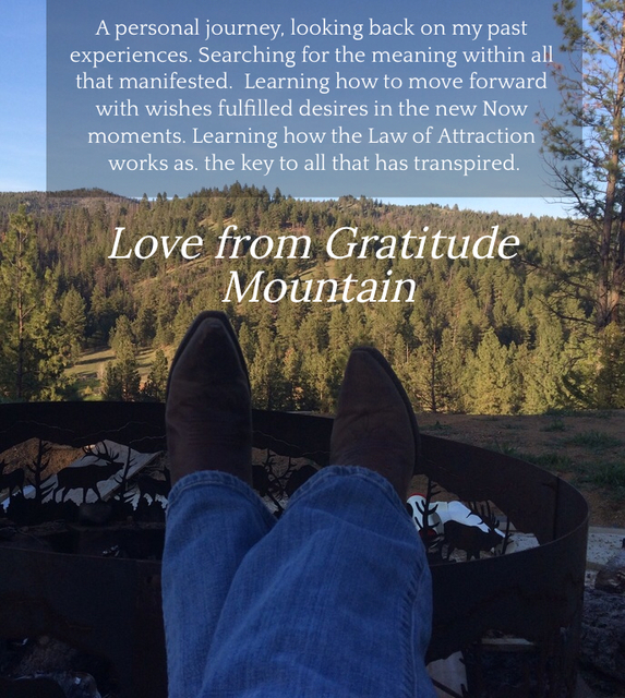 a personal journey looking back on my past experiences to find the meaning in all that...