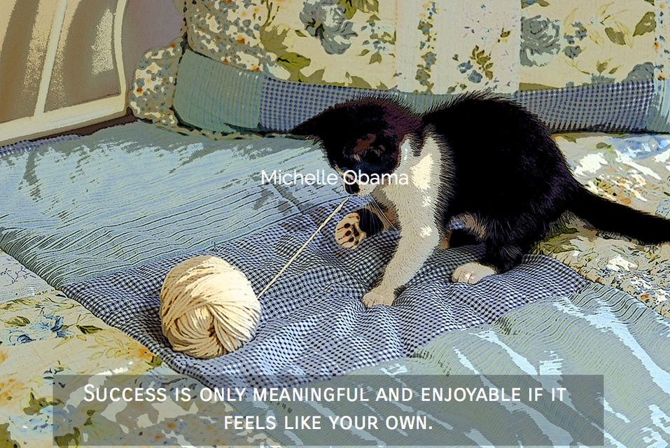 success is only meaningful and enjoyable if it feels like your own...
