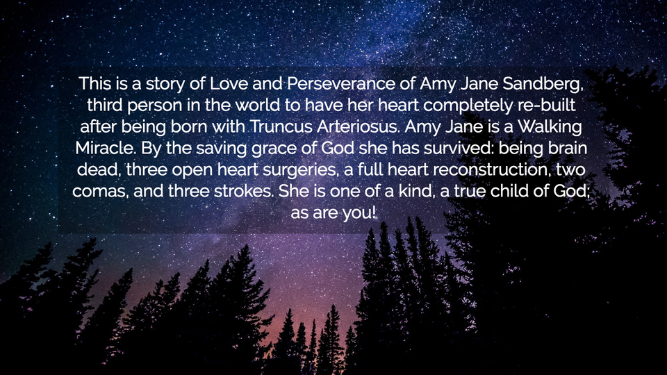 this is a story of love and perseverance of amy jane sandberg third person in the world...