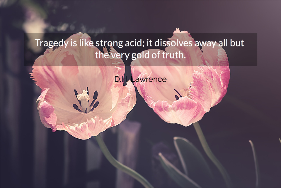 tragedy is like strong acid it dissolves away all but the very gold of truth...