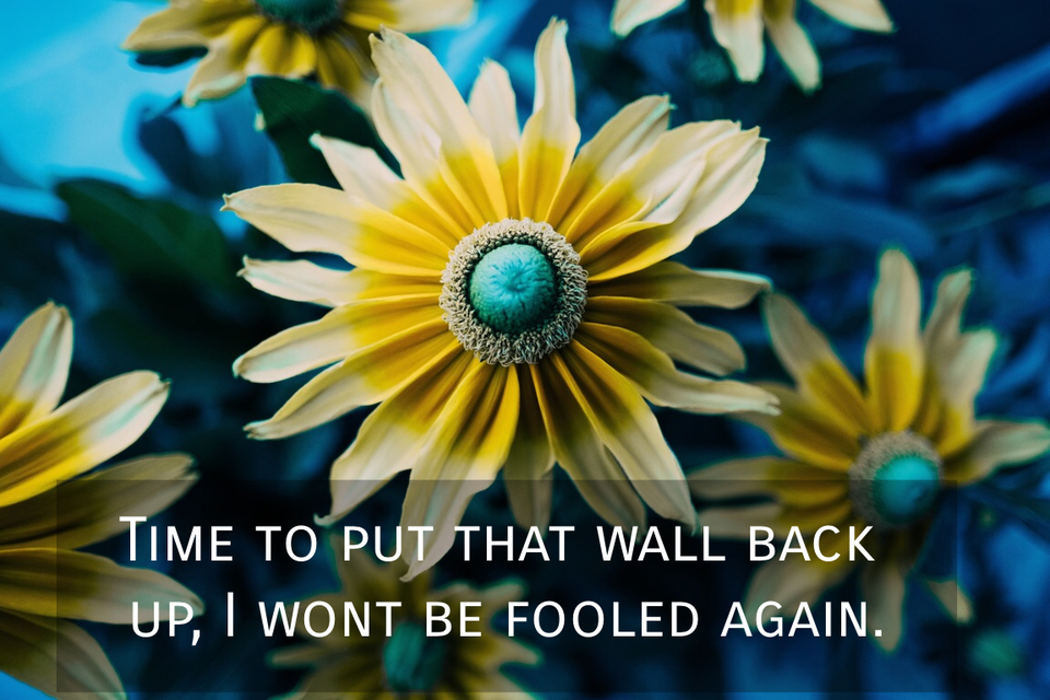 time to put that wall back up i wont be fooled again...