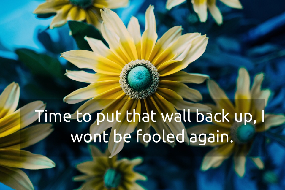 time to put that wall back up i wont be fooled again...