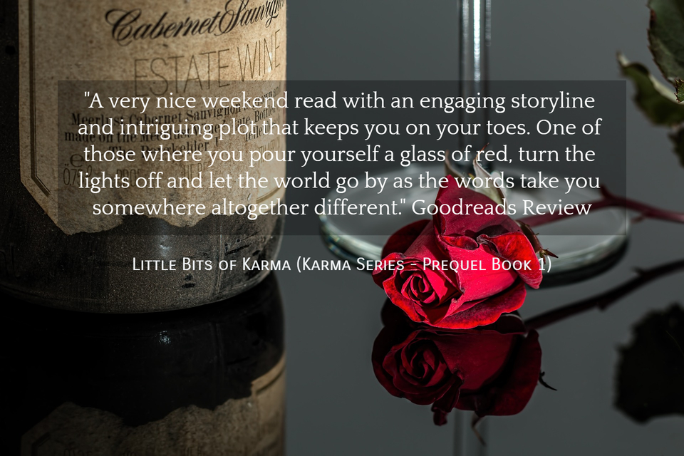 a very nice weekend read with an engaging storyline and intriguing plot that keeps you...