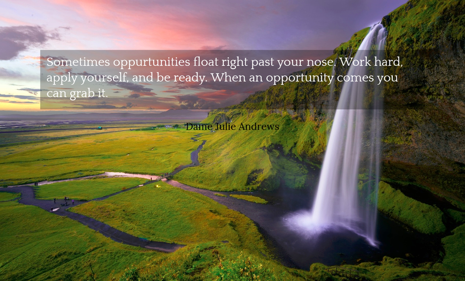 sometimes oppurtunities float right past your nose work hard apply yourself and be...